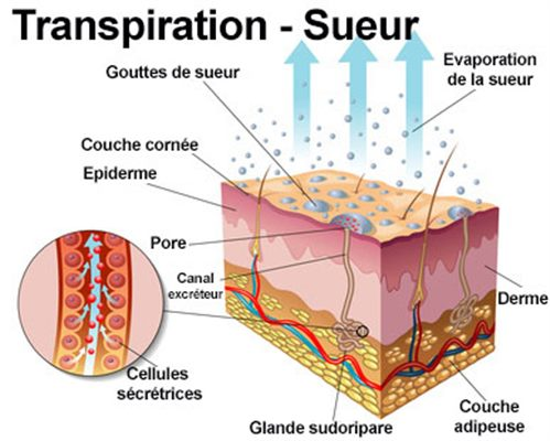 Ionophorèse en podologie : traitement avancé de l'hyperhidrose plantaire